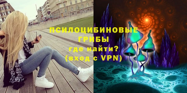прущий лед Арсеньев
