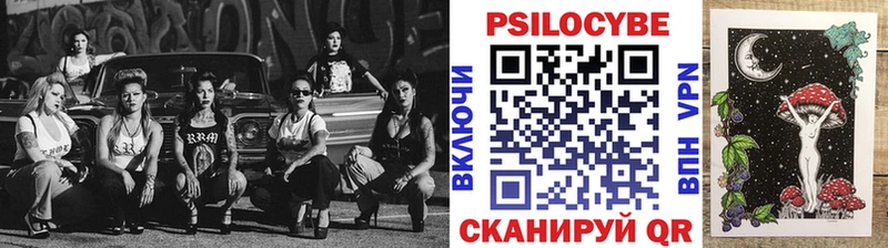 как найти закладки  Шадринск  Псилоцибиновые грибы мицелий 